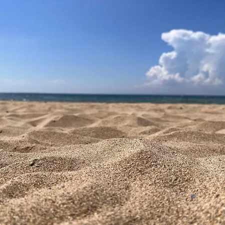 Palmeras * 罗萨斯